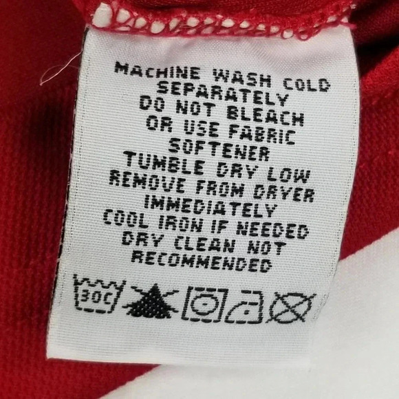 Wisconsin Badgers Embroidered 2009 Champs Orlando - Picture 6 of 6